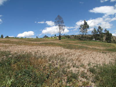 Terrenos en Venta  Tumbaco - Quito