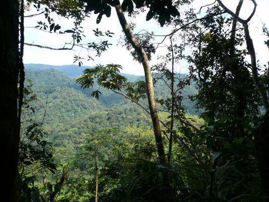 Terrenos en Venta Jacinto Jijon y Camao -   Parroquia Lita Sector Rio Baboso - Mira