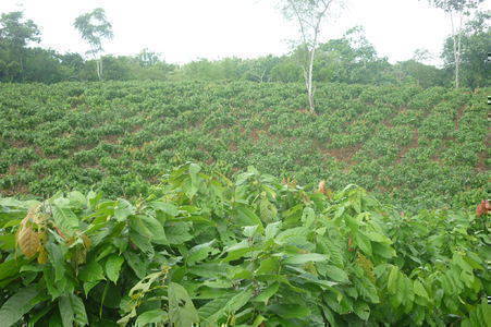 Terrenos en Venta El Empalme - Quevedo