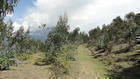 Terreno en Venta  en El Sagrario  - Cotacachi